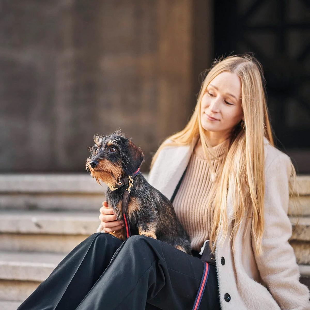 Laisse de luxe pour chien - CHARLES & FLORENCE - Kasibe