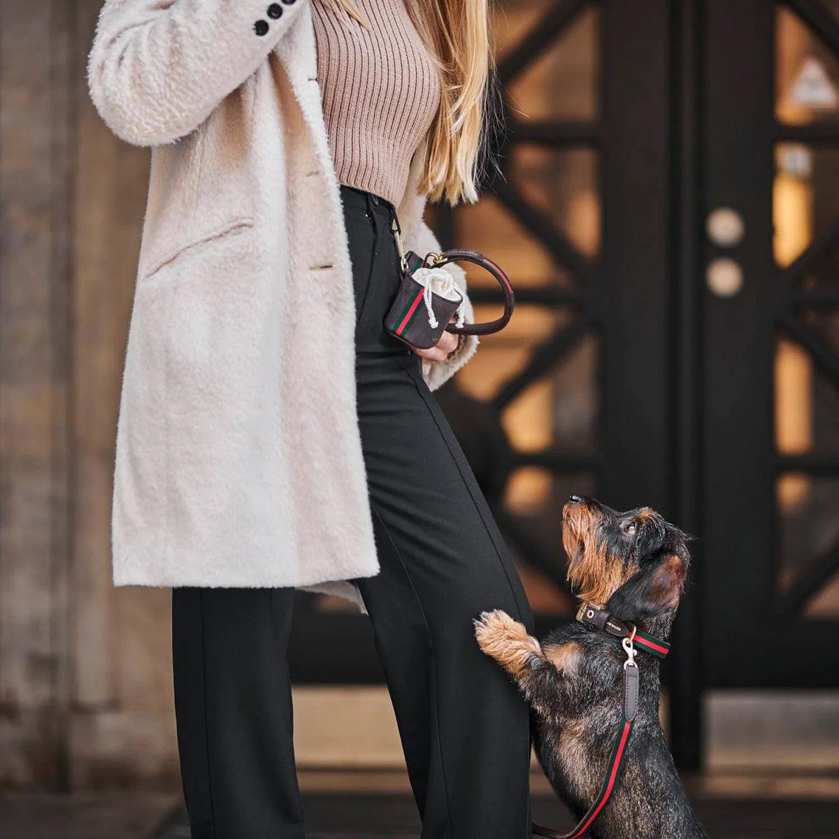 Laisse de luxe pour chien - CHARLES & FLORENCE - Kasibe