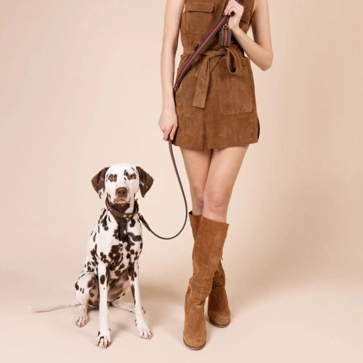 Laisse de luxe pour chien - CHARLES & FLORENCE - Kasibe