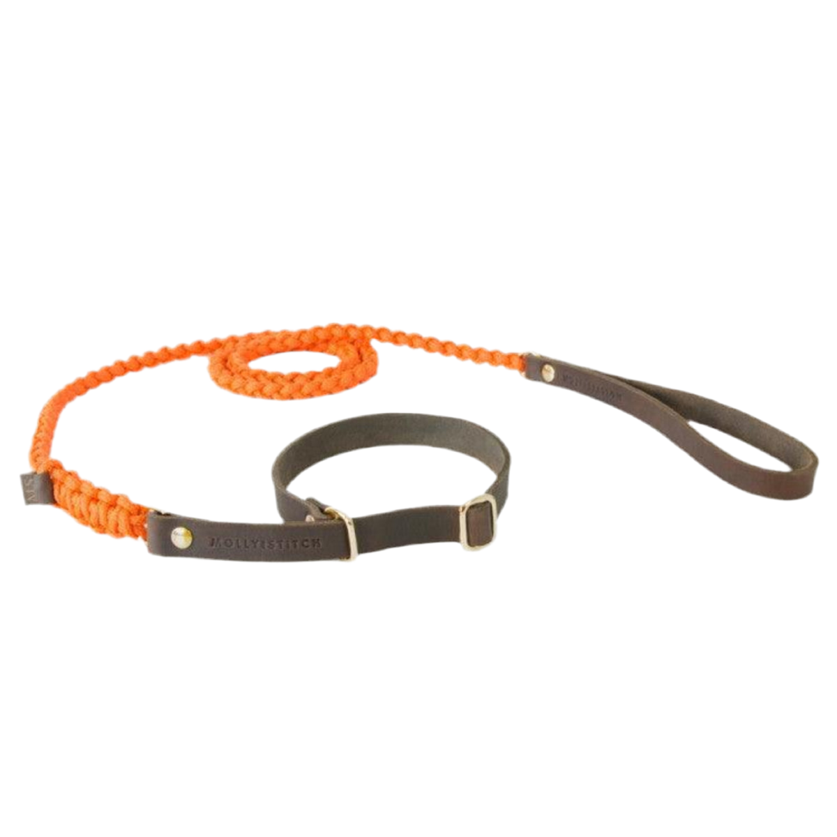Laisse et collier pour chien deux en un - TOUCH OF LEATHER RETRIEVER - Kasibe