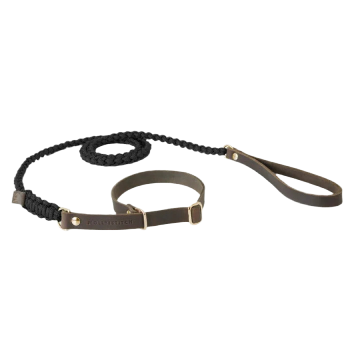 Laisse et collier pour chien deux en un - TOUCH OF LEATHER RETRIEVER - Kasibe