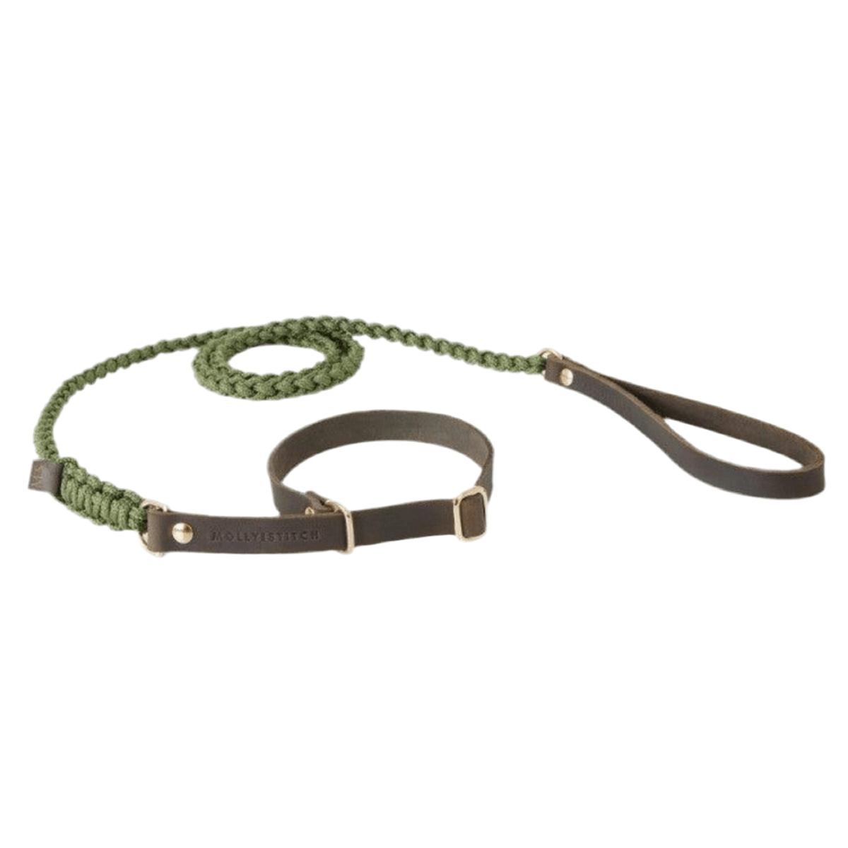 Laisse et collier pour chien deux en un - TOUCH OF LEATHER RETRIEVER - Kasibe