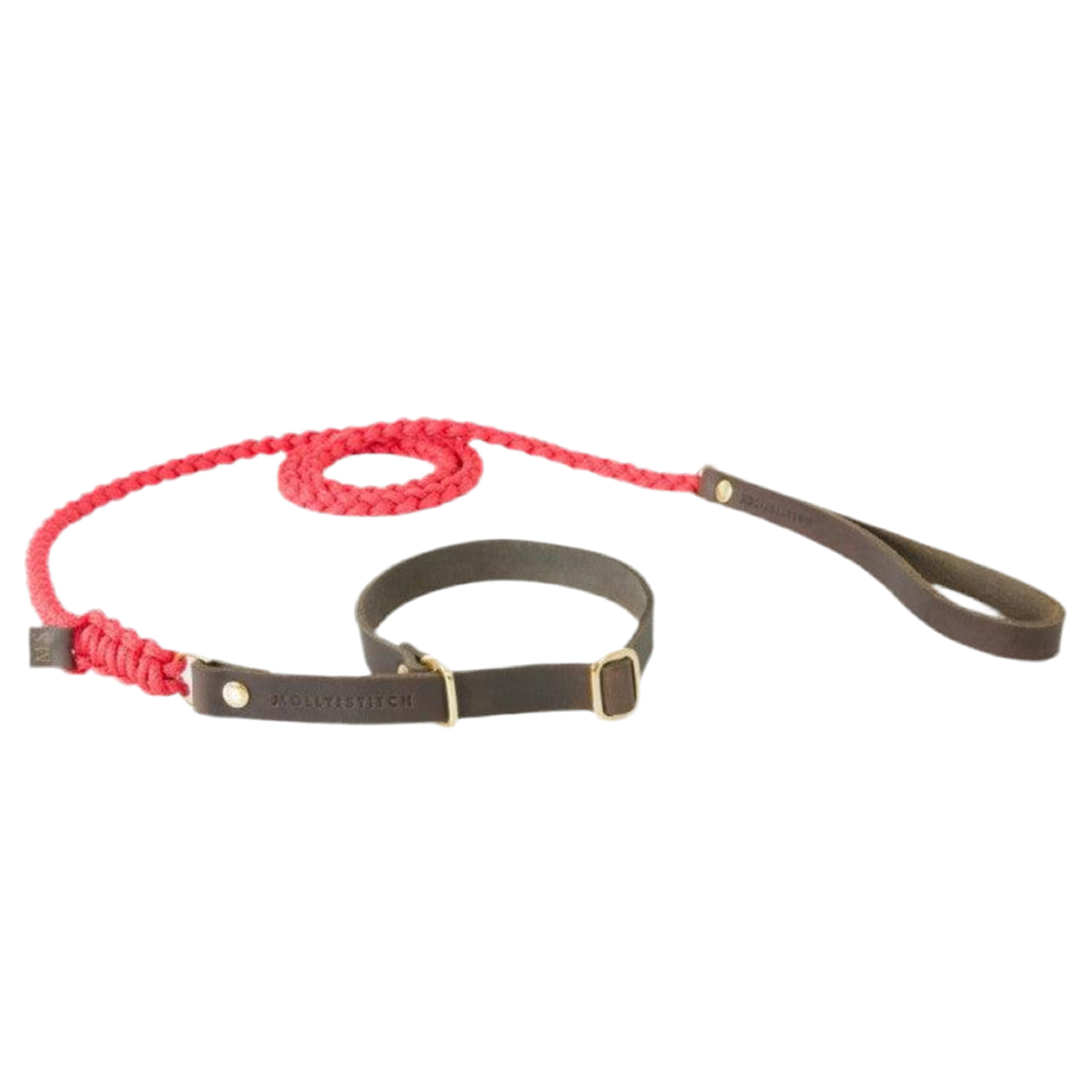 Laisse et collier pour chien deux en un - TOUCH OF LEATHER RETRIEVER - Kasibe