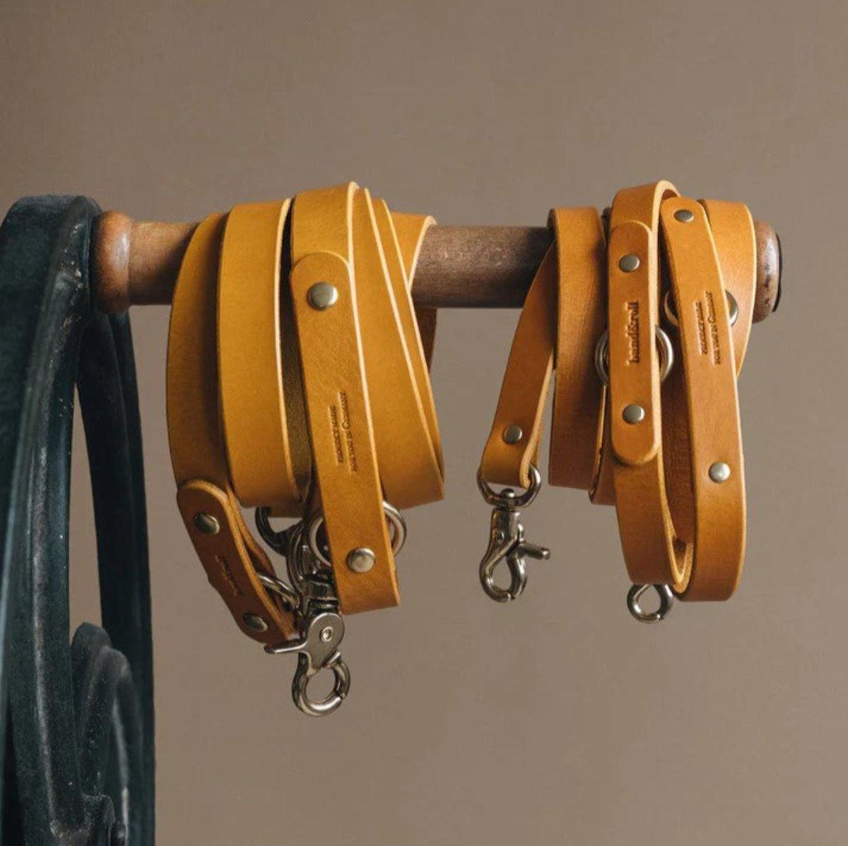 Laisse longue pour chien - LASSO - Kasibe