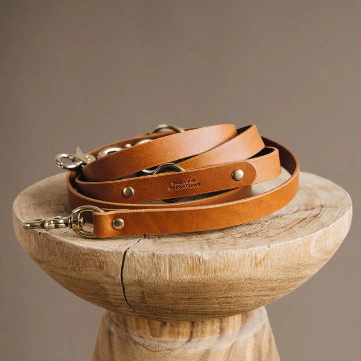 Laisse longue pour chien - LASSO - Kasibe