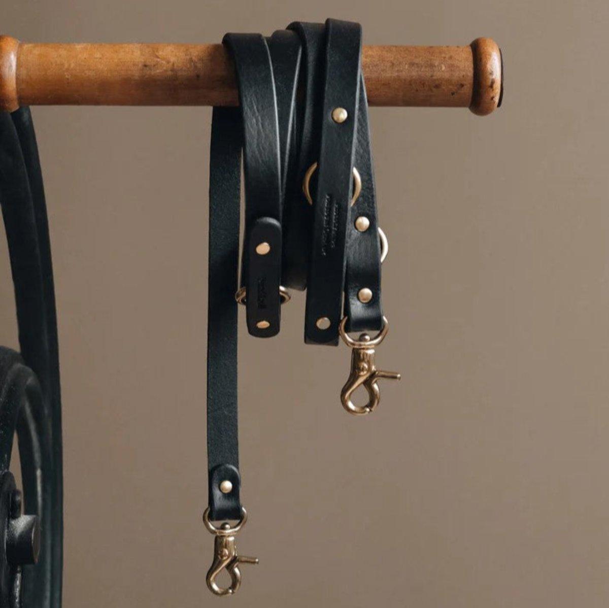 Laisse longue pour chien - LASSO - Kasibe