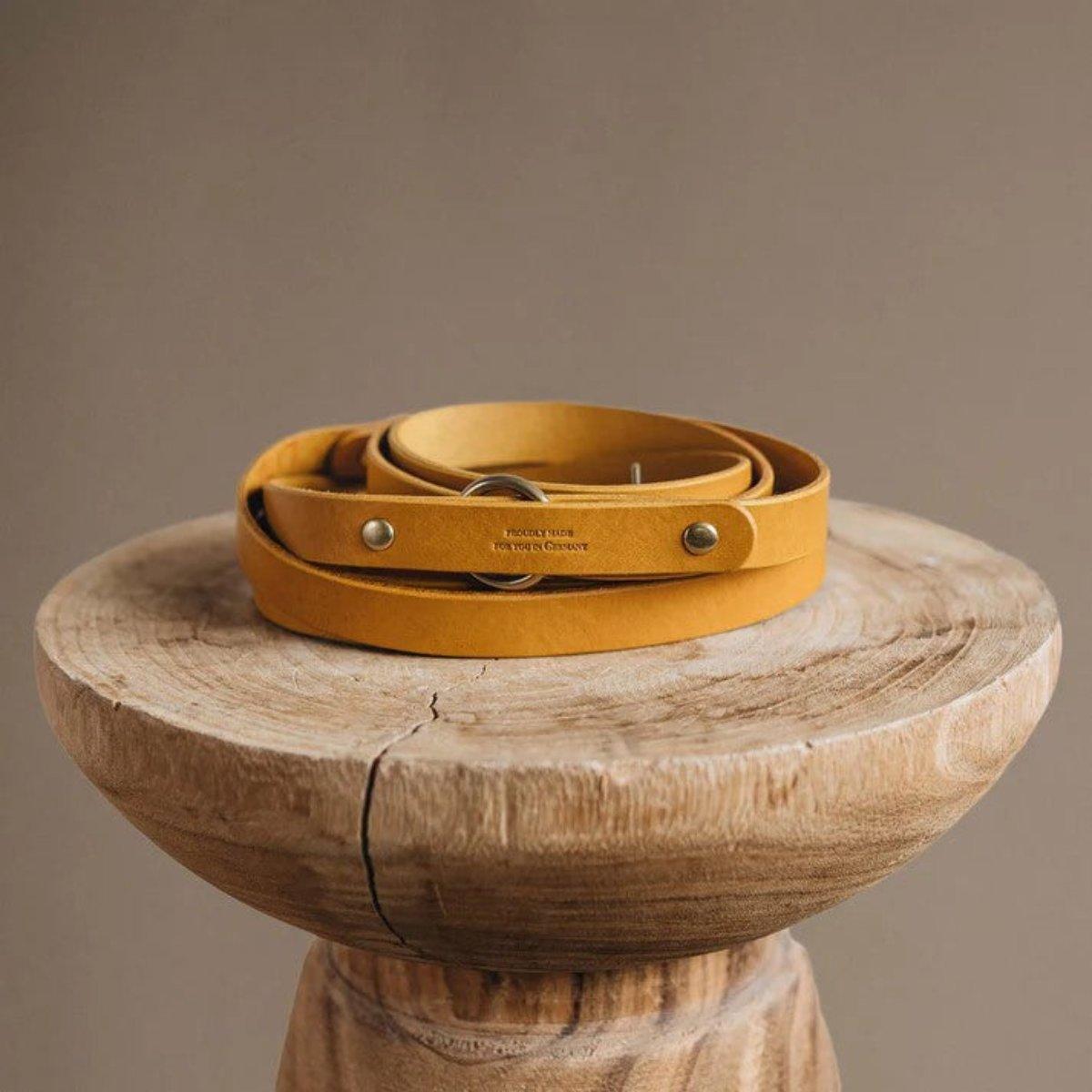 Laisse longue pour chien - LASSO - Kasibe