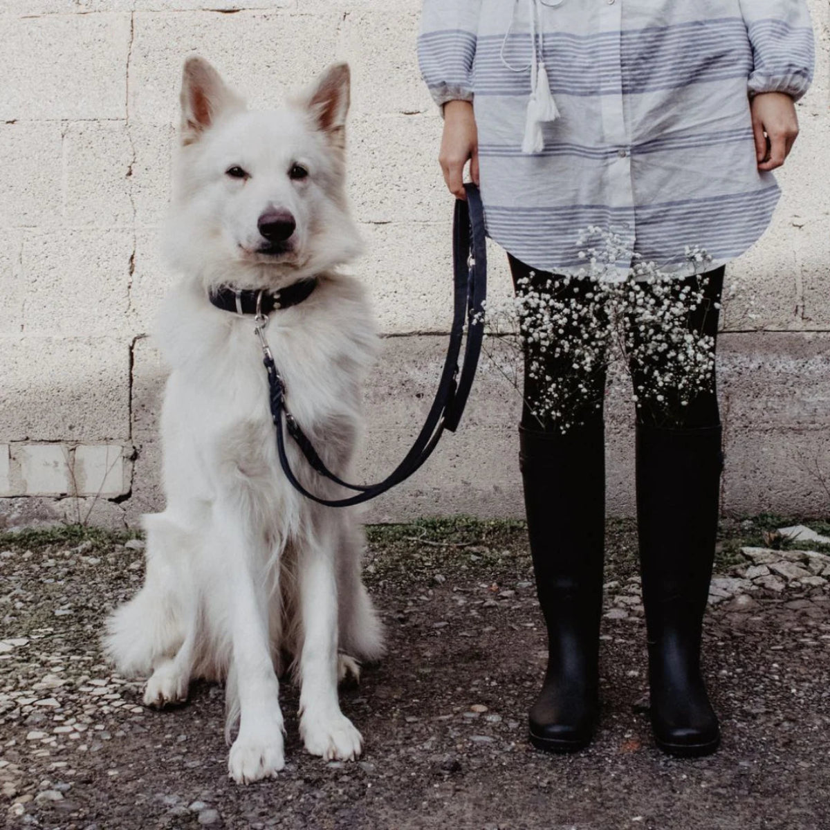 Laisse pour chien ajustable 3 points - BUTTER - Kasibe