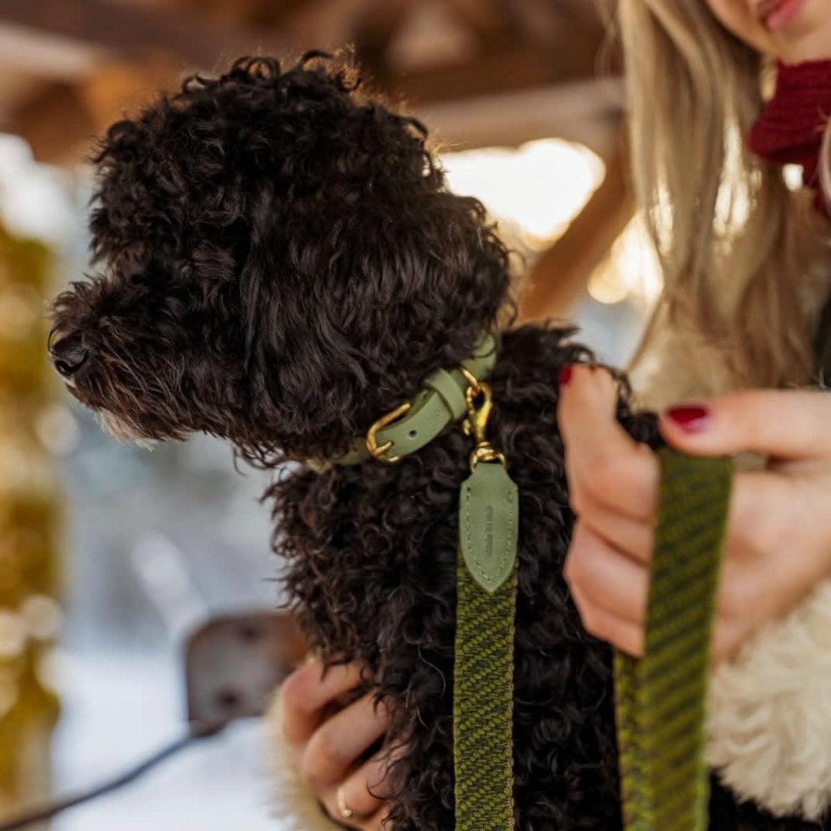 Laisse pour chien en coton - PATAGONIA - Kasibe