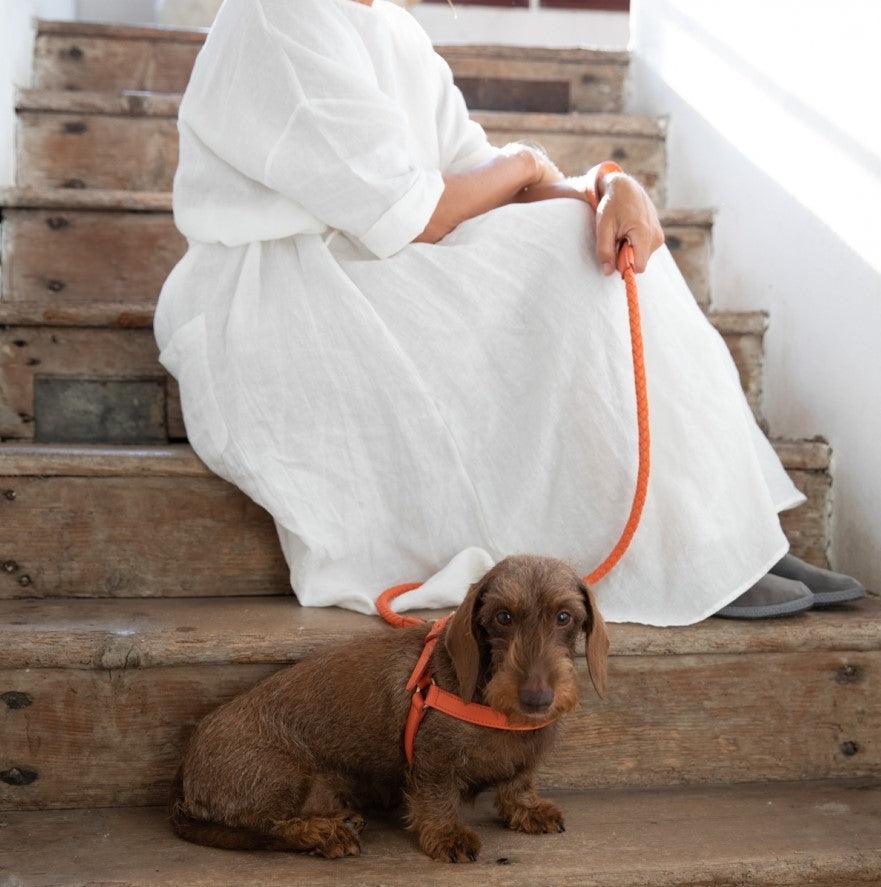 Laisse pour chien en cuir nappa - FERDINANDO - Kasibe