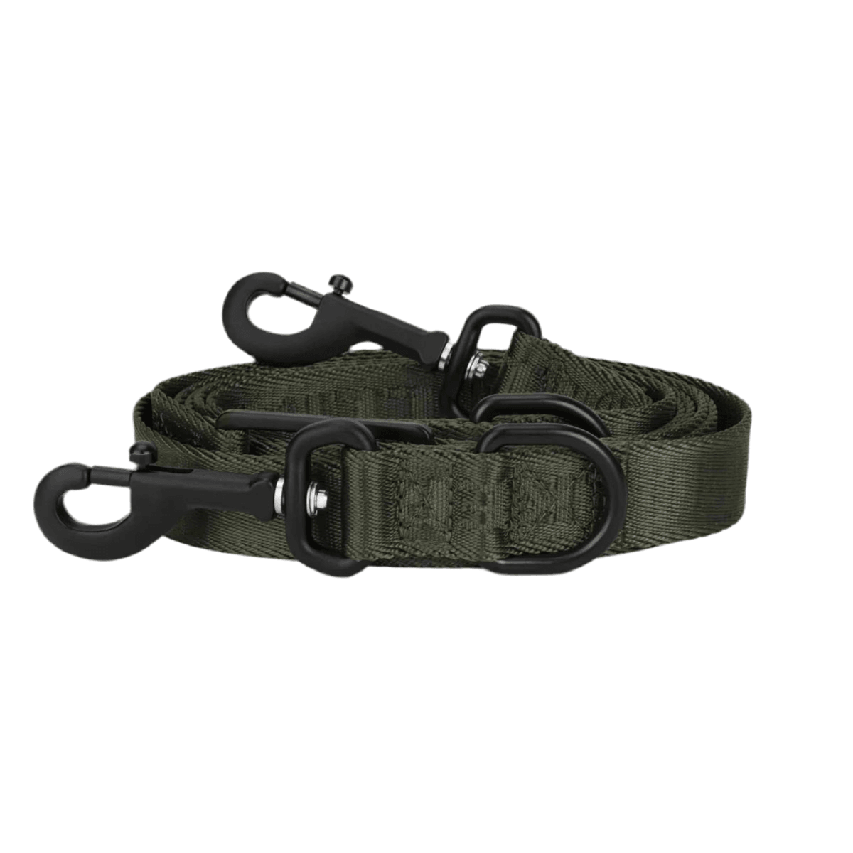 Laisse pour chien en nylon - APEX - Kasibe