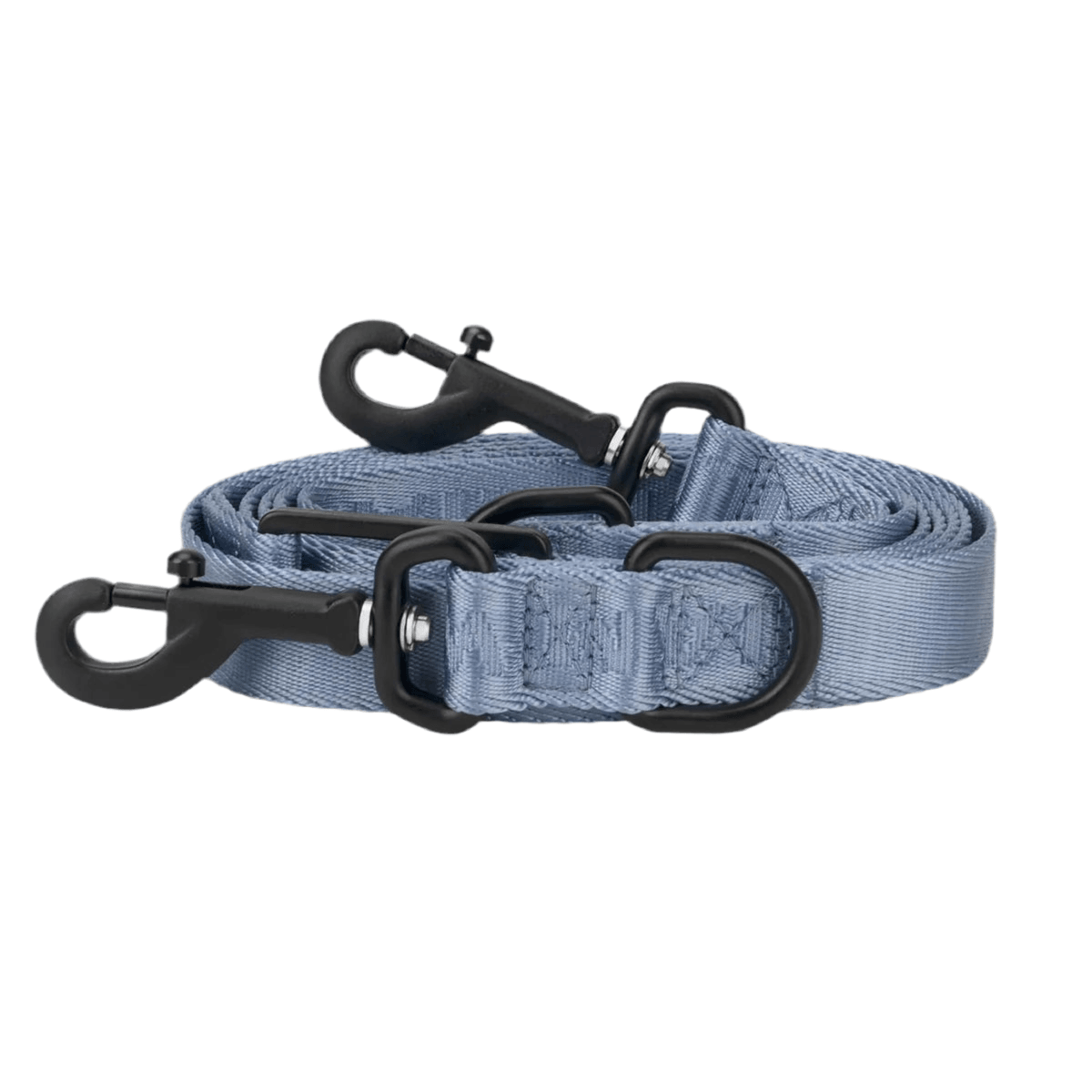 Laisse pour chien en nylon - APEX - Kasibe