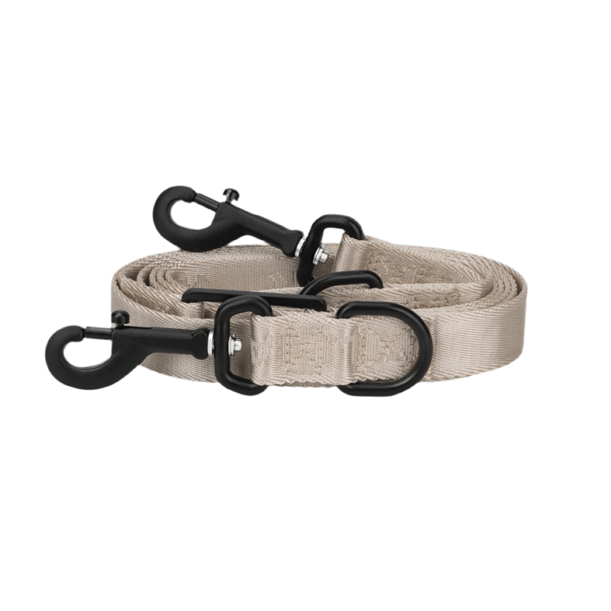 Laisse pour chien en nylon - APEX - Kasibe