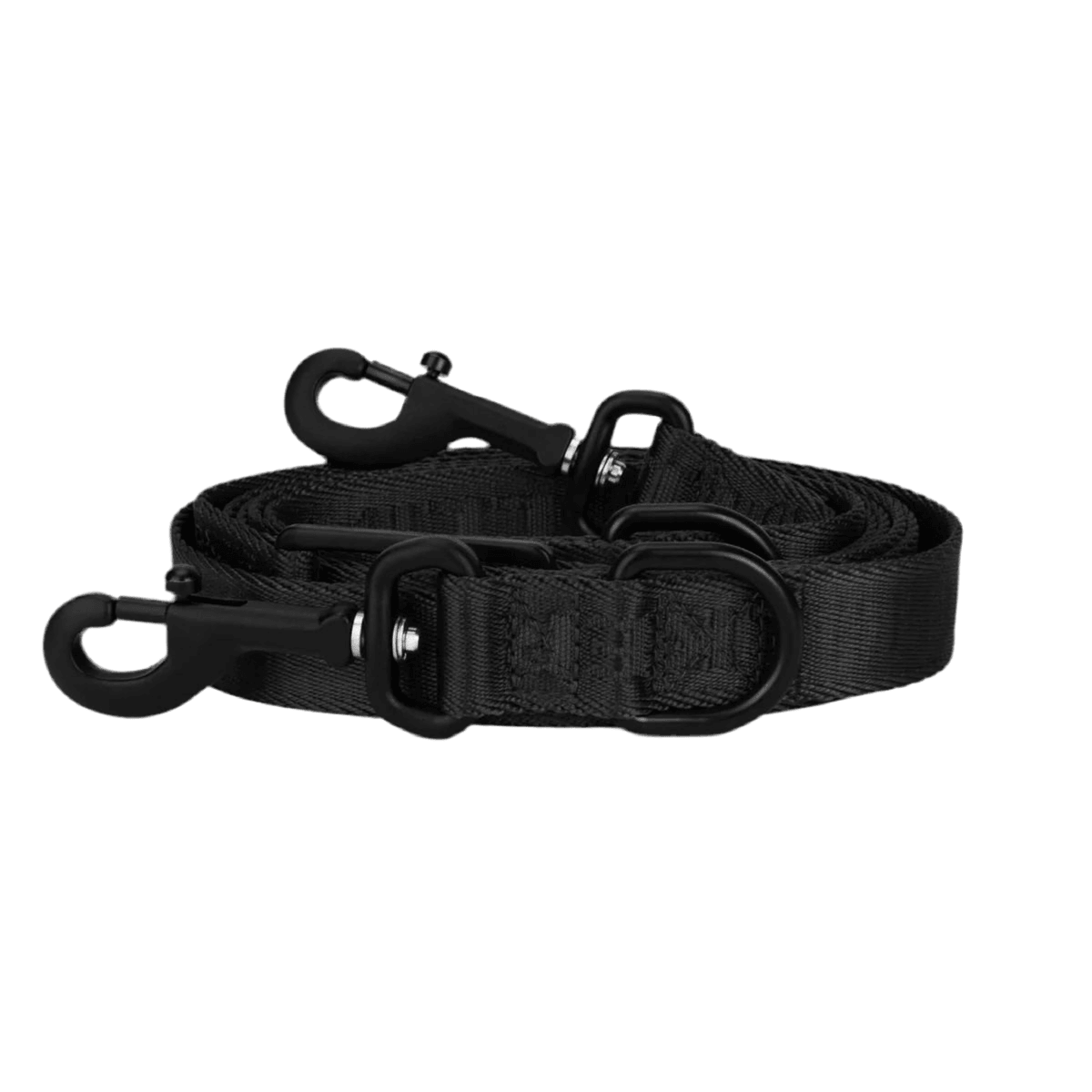 Laisse pour chien en nylon - APEX - Kasibe