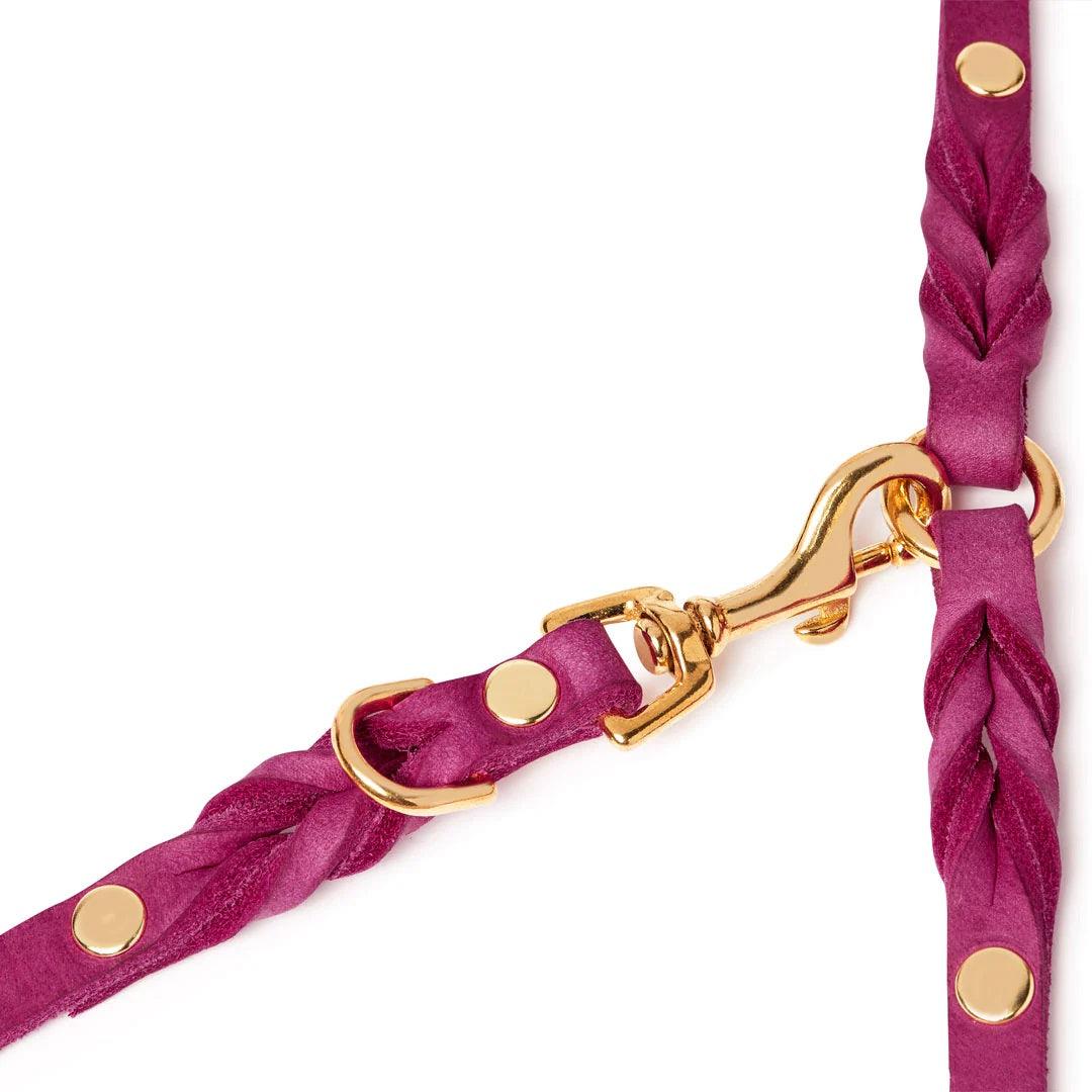 Laisse pour chien mains libres - BUTTER FLAMINGO - Kasibe