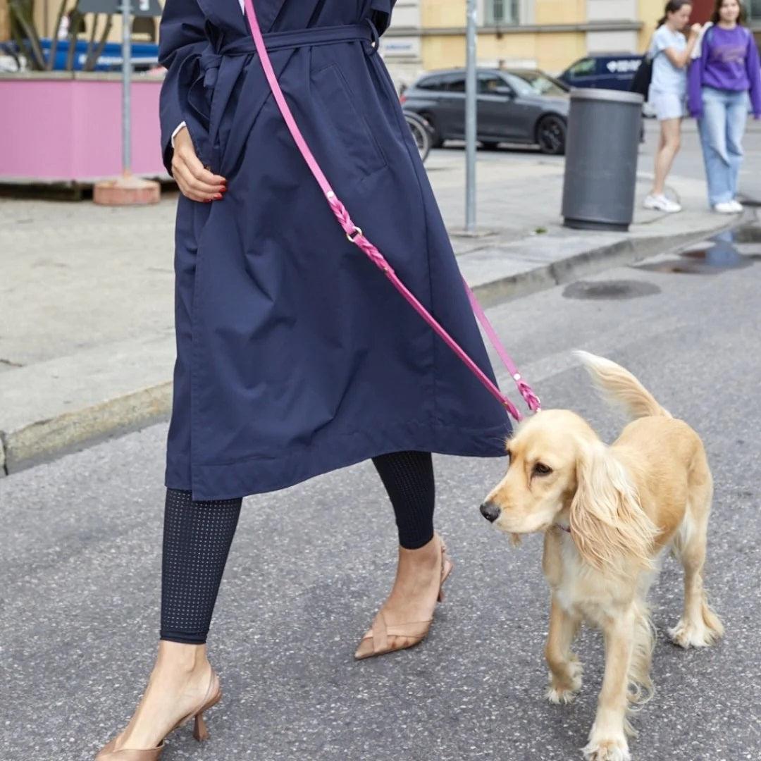 Laisse pour chien mains libres - BUTTER FLAMINGO - Kasibe