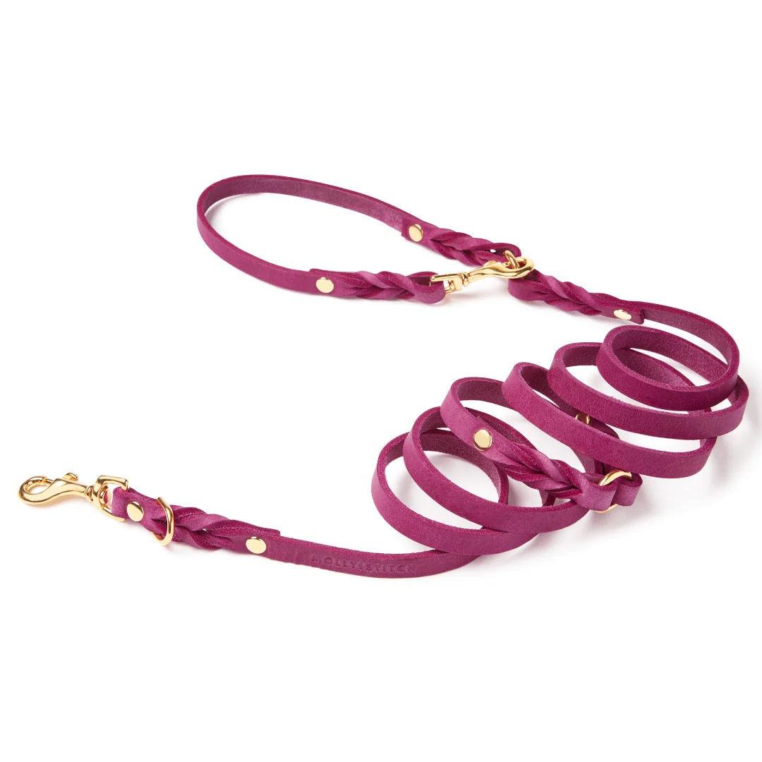 Laisse pour chien mains libres - BUTTER FLAMINGO - Kasibe