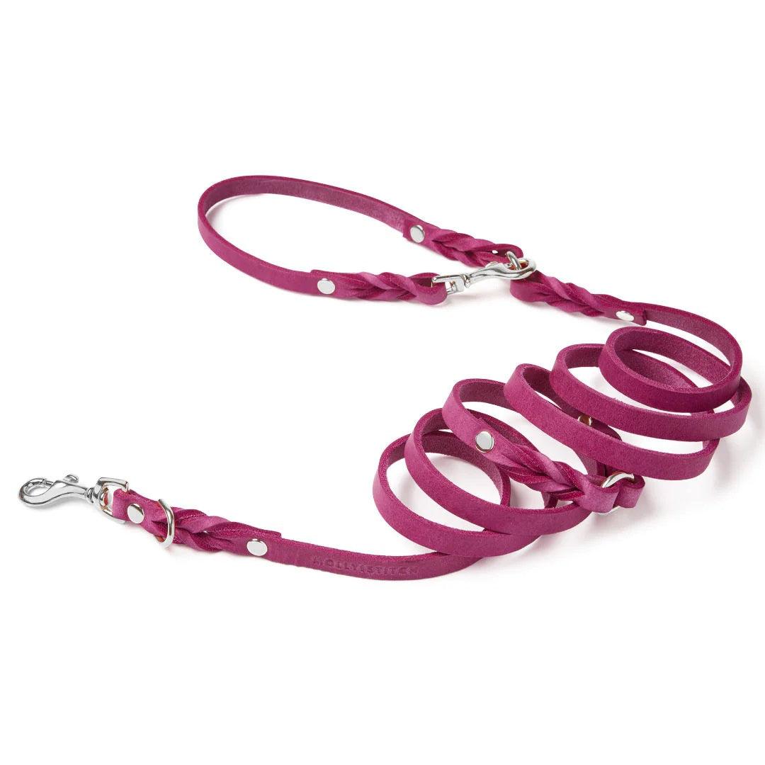 Laisse pour chien mains libres - BUTTER FLAMINGO - Kasibe