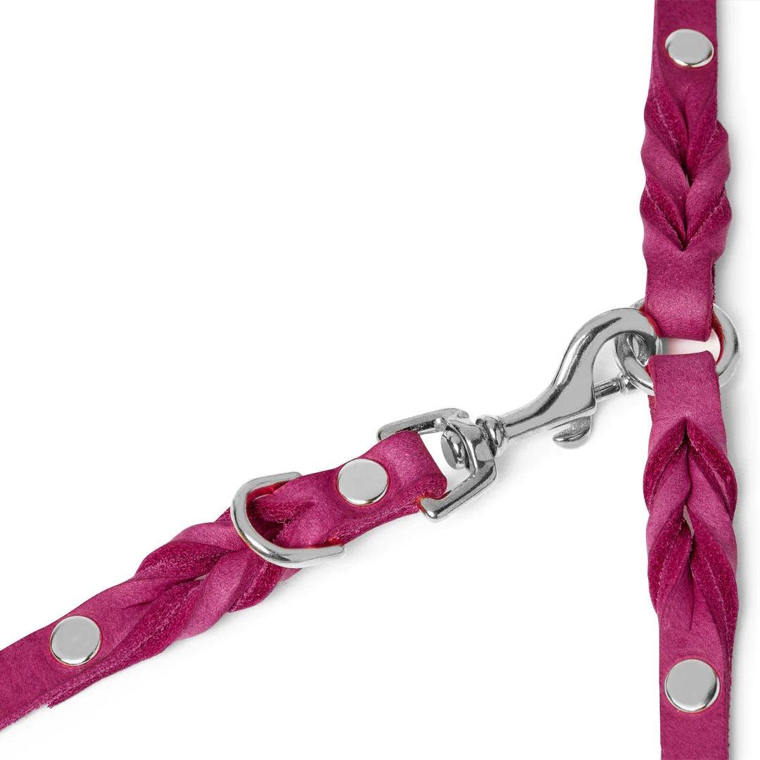 Laisse pour chien mains libres - BUTTER FLAMINGO - Kasibe
