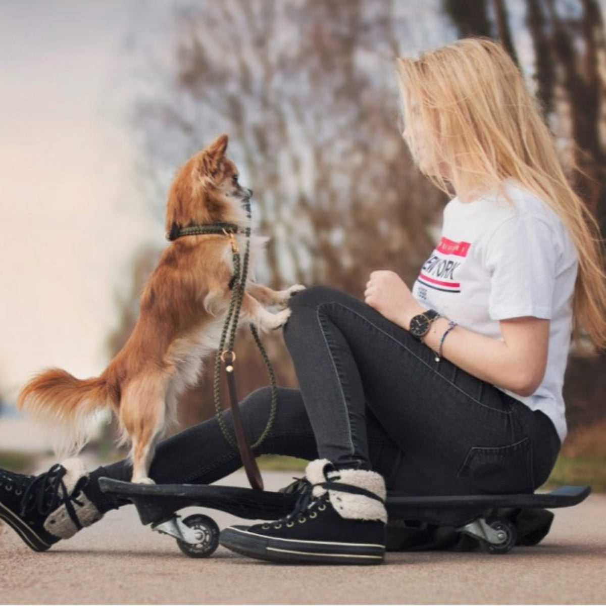 Laisse pour chien originale - TOUCH OF LEATHER - Kasibe