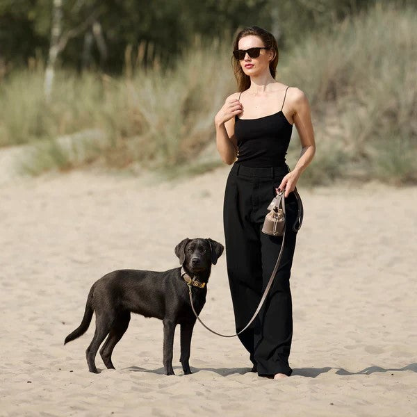 Laisse pour chien réglable - LUXE - Kasibe
