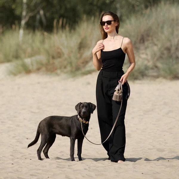 Laisse pour chien réglable - LUXE - Kasibe