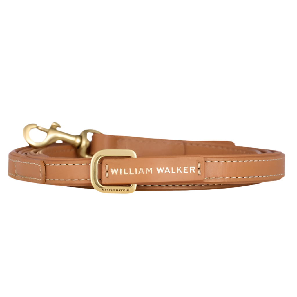 Laisse pour chien réglable - LUXE - Kasibe