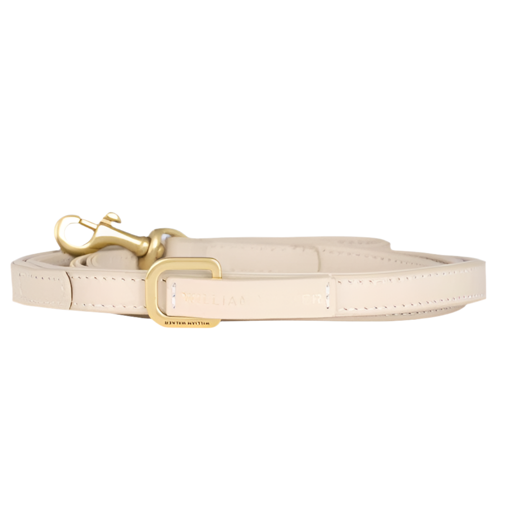 Laisse pour chien réglable - LUXE - Kasibe