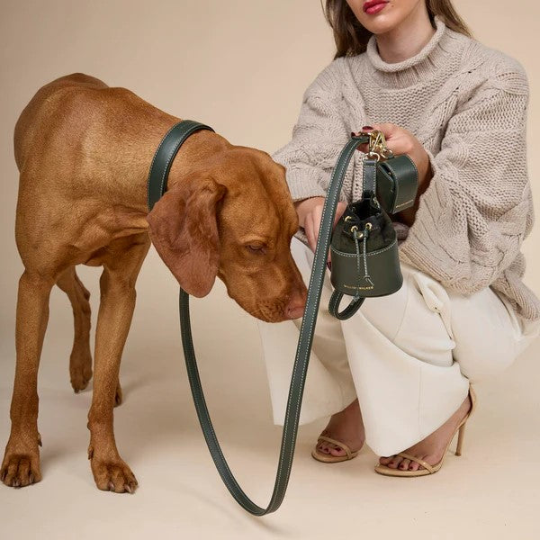 Laisse pour chien réglable - LUXE - Kasibe