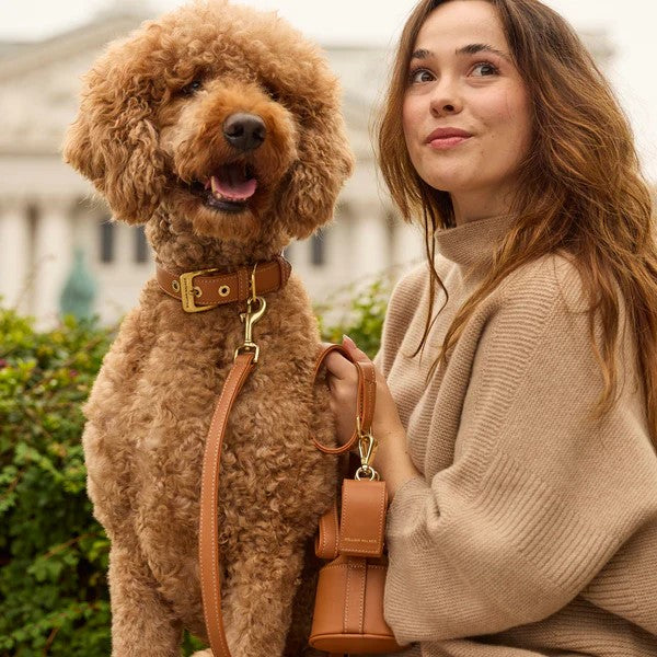 Laisse pour chien réglable - LUXE - Kasibe