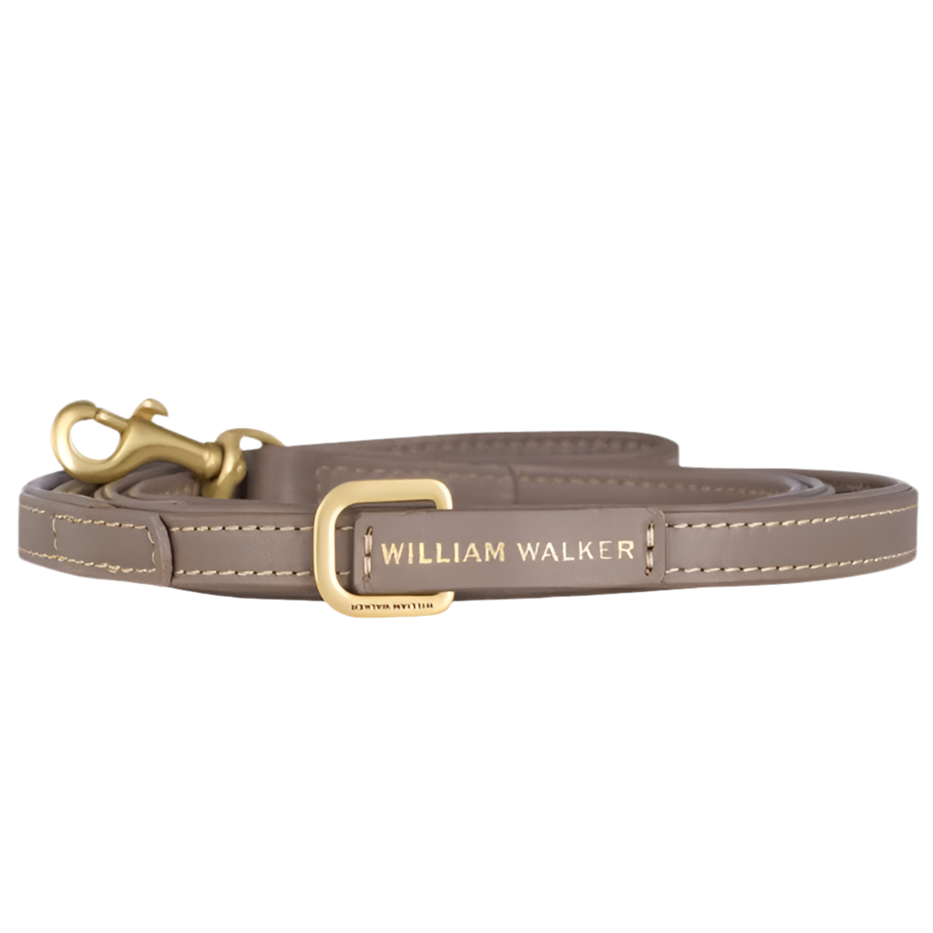 Laisse pour chien réglable - LUXE - Kasibe