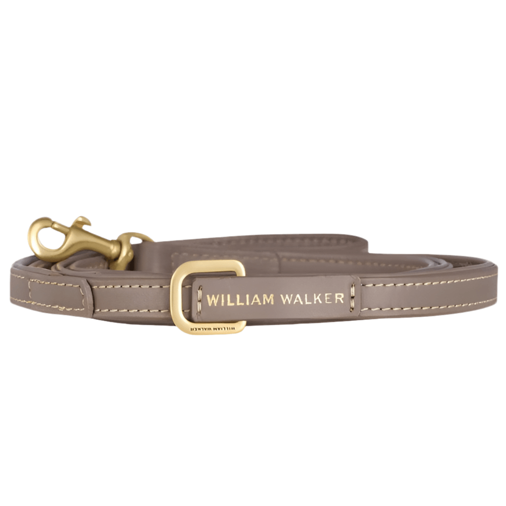 Laisse pour chien réglable - LUXE - Kasibe