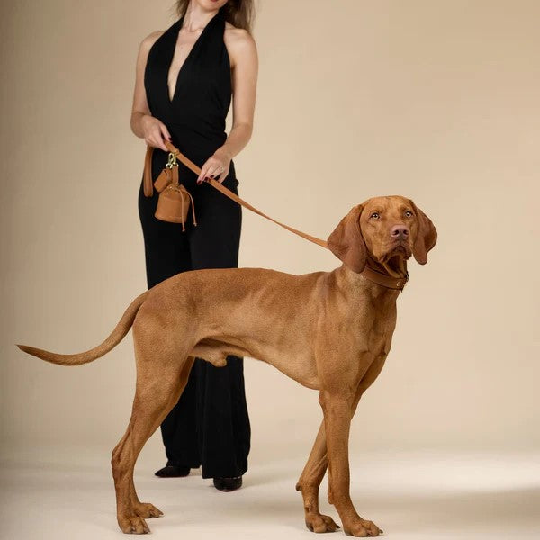 Laisse pour chien réglable - LUXE - Kasibe