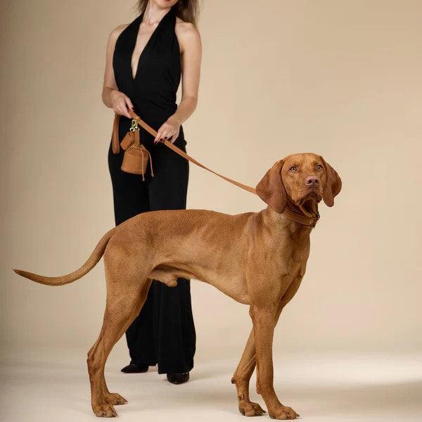 Laisse pour chien réglable - LUXE - Kasibe