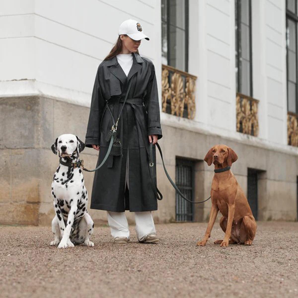 Laisse tressée en cuir pour chien - PRESTIGE - Kasibe