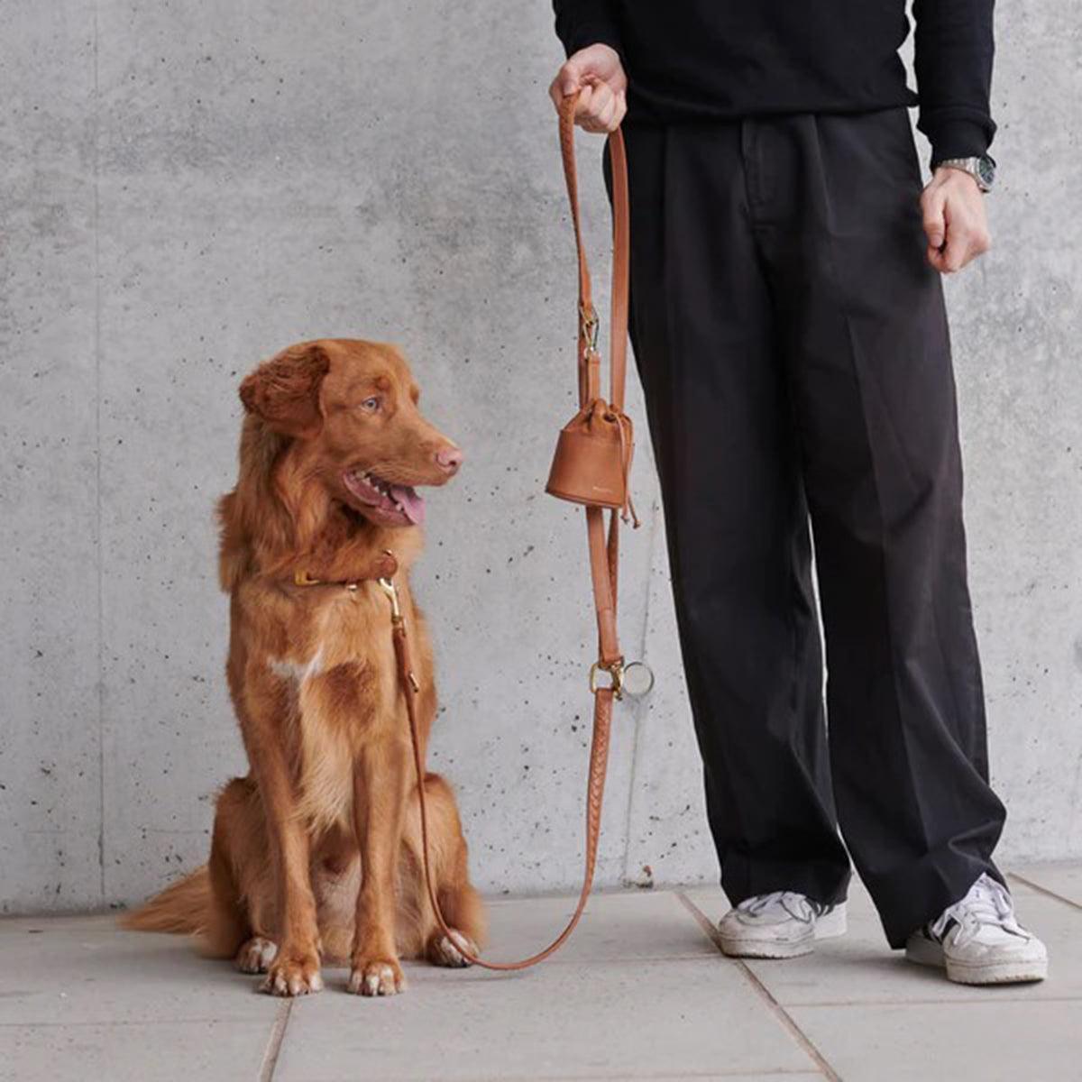 Laisse tressée en cuir pour chien - PRESTIGE - Kasibe