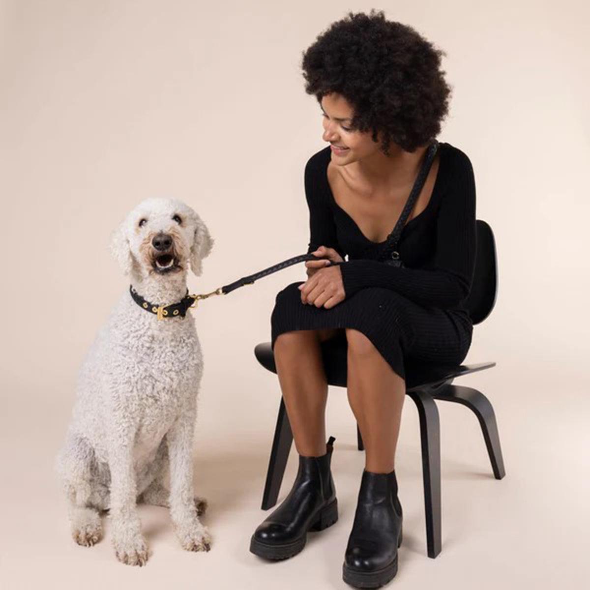 Laisse tressée en cuir pour chien - PRESTIGE - Kasibe