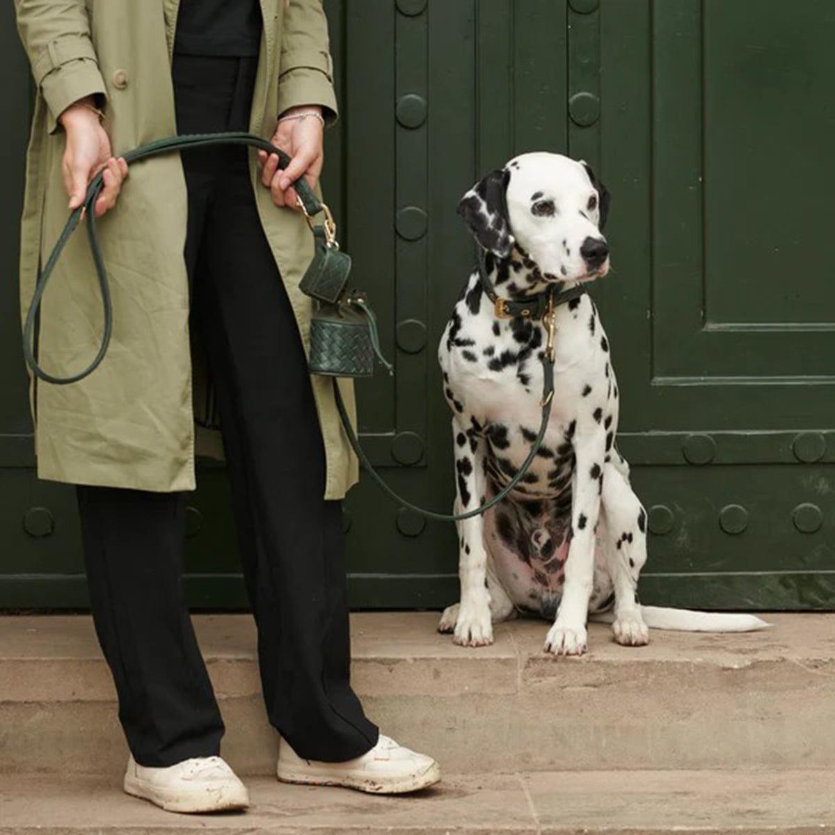 Laisse tressée en cuir pour chien - PRESTIGE - Kasibe