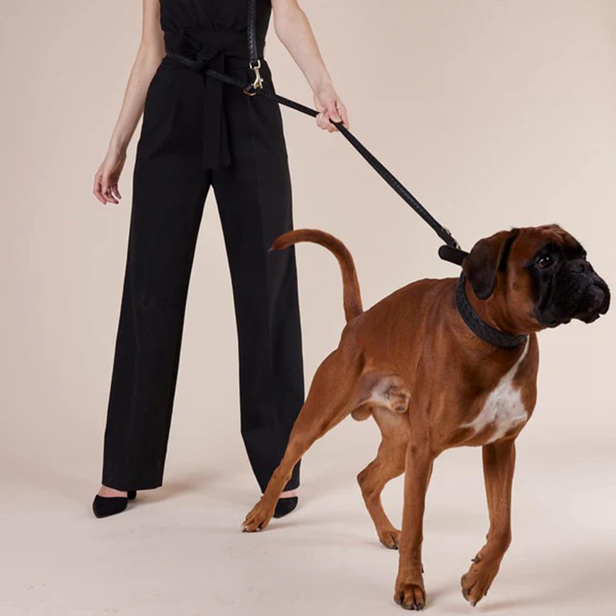 Laisse tressée en cuir pour chien - PRESTIGE - Kasibe