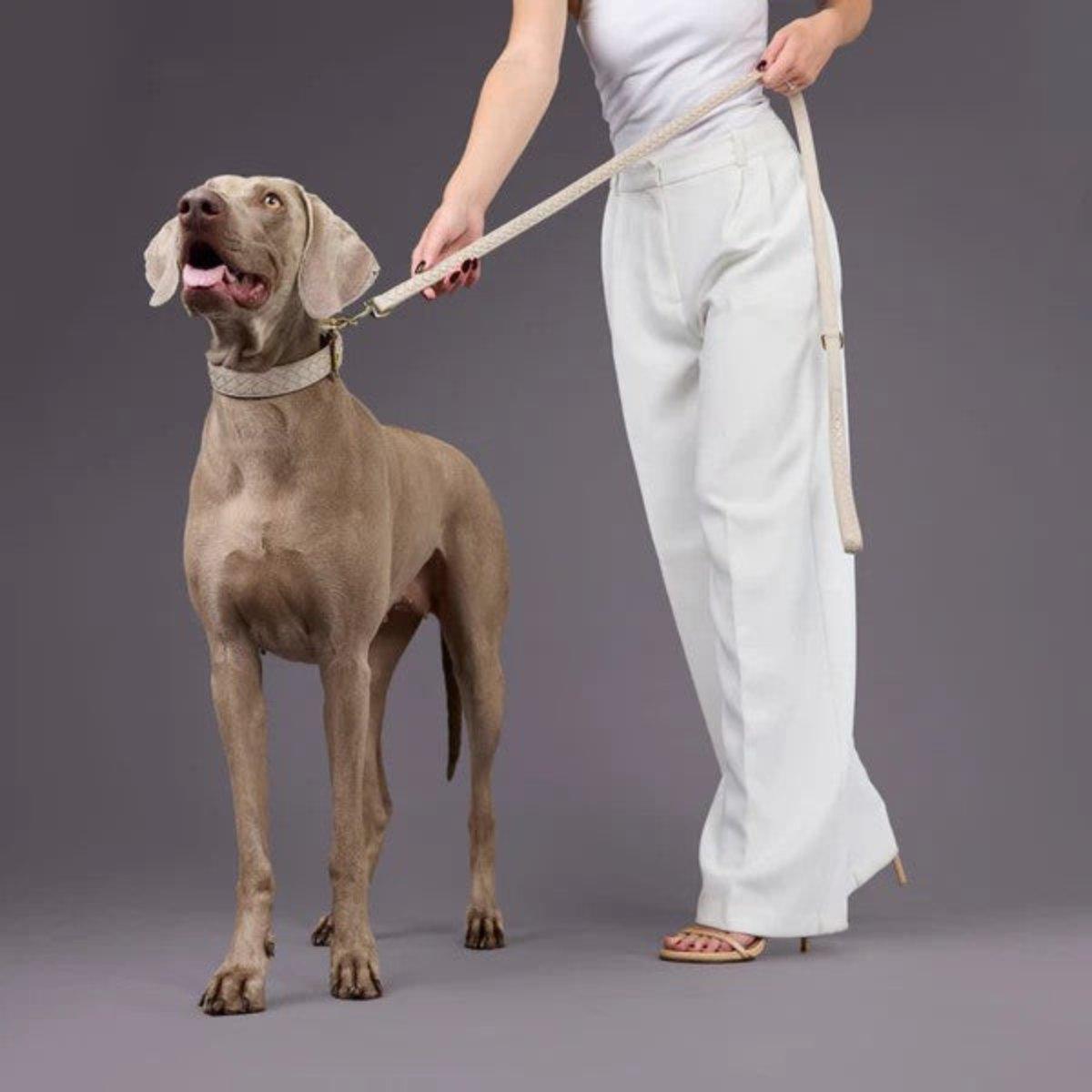 Laisse tressée en cuir pour chien - PRESTIGE - Kasibe