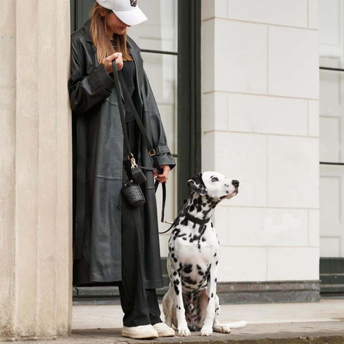 Laisse tressée en cuir pour chien - PRESTIGE - Kasibe