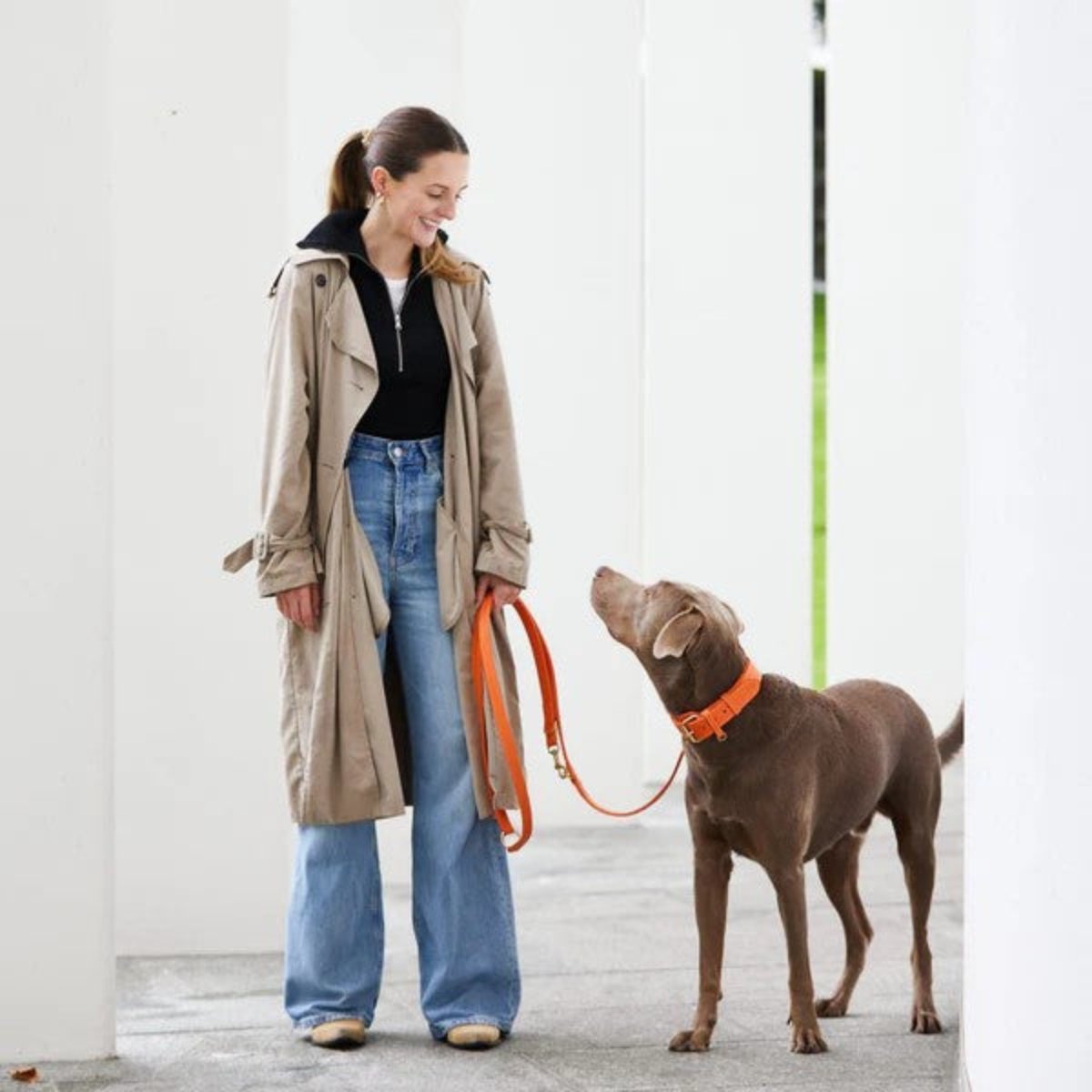 Laisses en cuir pour chien élégantes - PLAINE - Kasibe