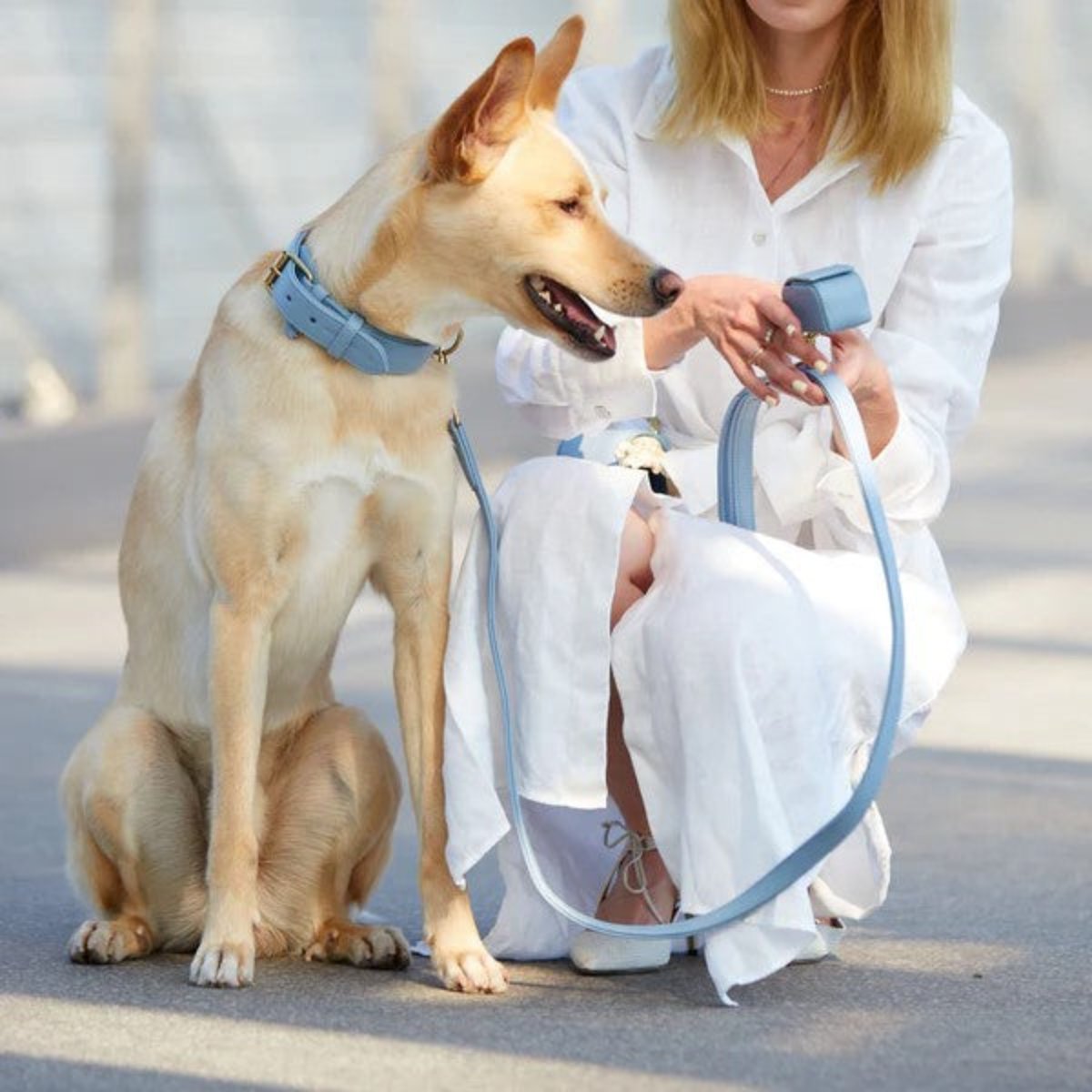 Laisses en cuir pour chien élégantes - PLAINE - Kasibe