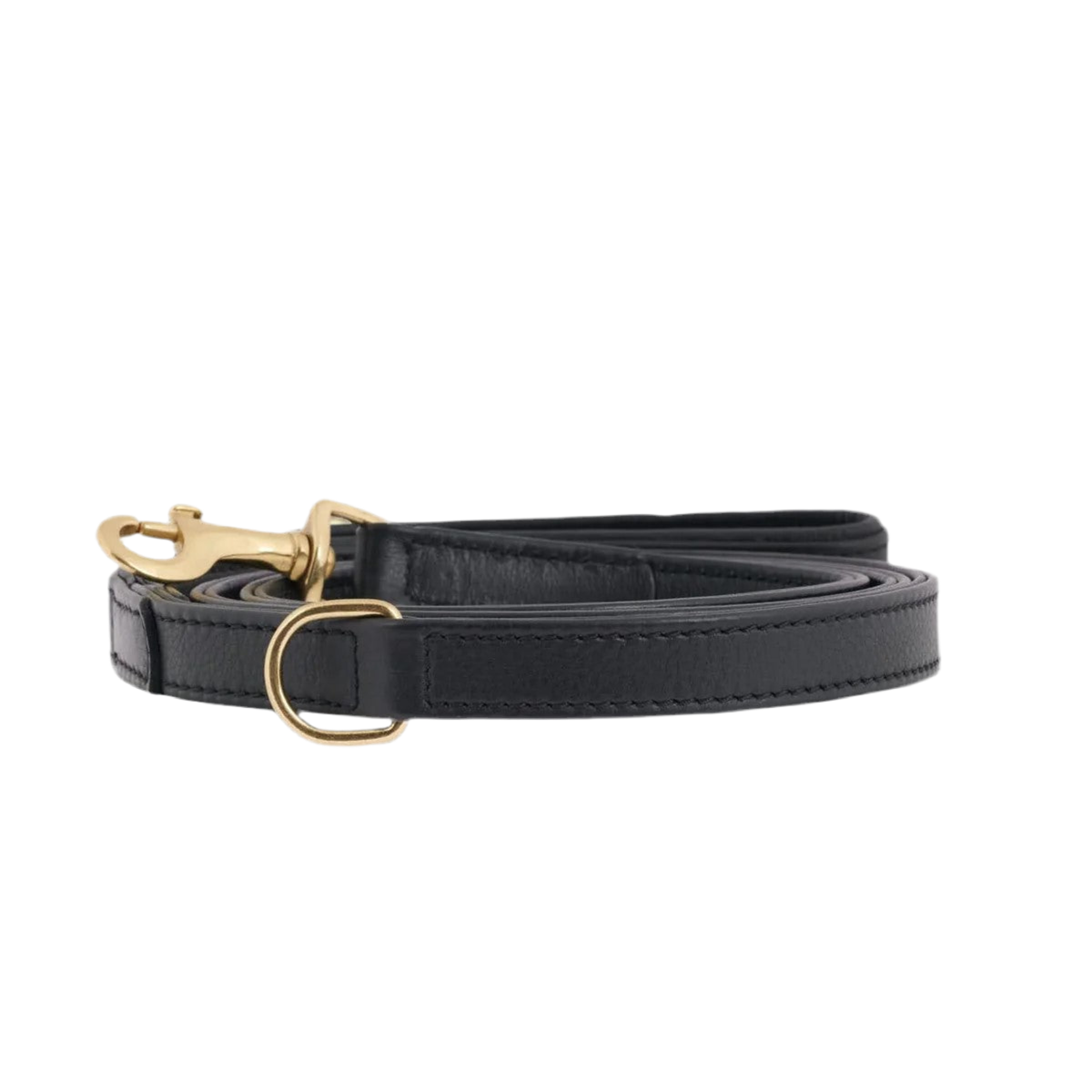 Laisses en cuir pour chien élégantes - PLAINE - Kasibe