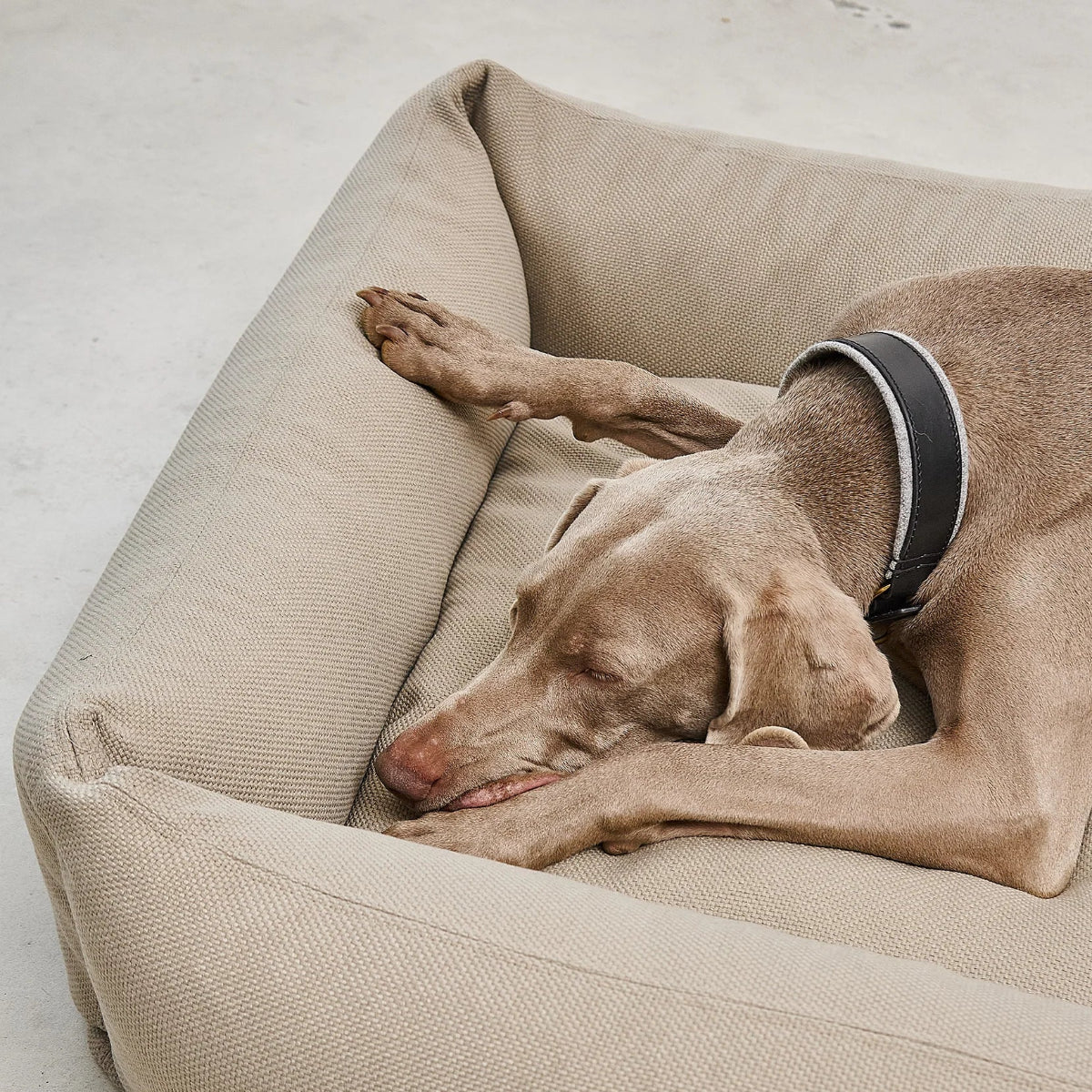 housse de panier pour chien sonno miacara cappucino - kasibe