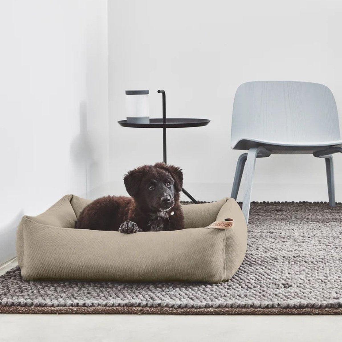 Lit box pour chien - SONNO - Kasibe