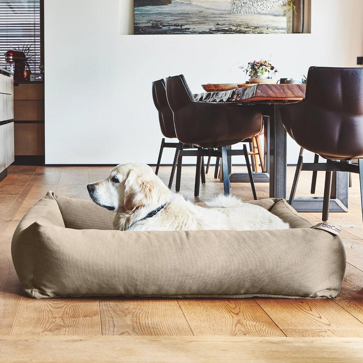 Lit box pour chien - SONNO - Kasibe