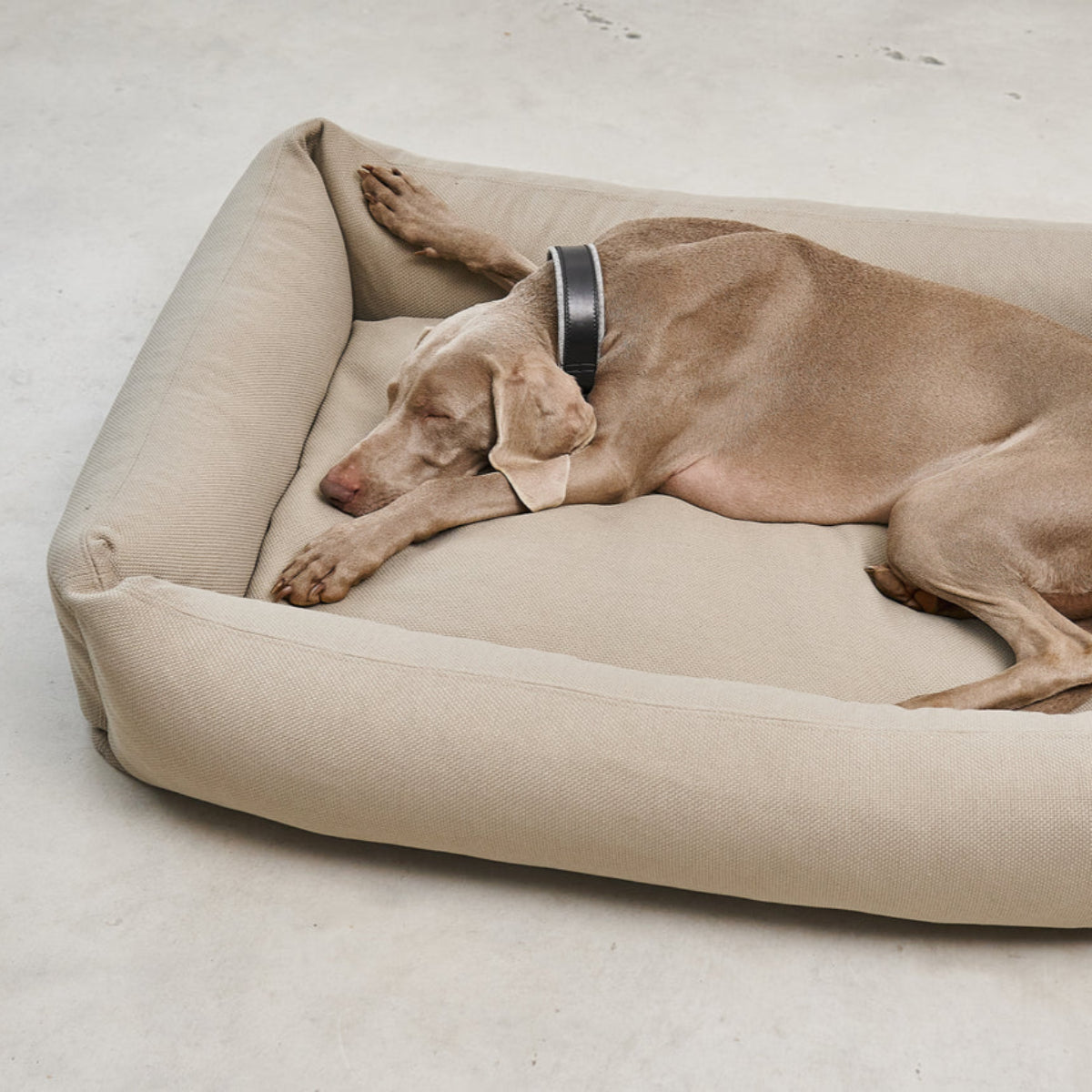 Lit box pour chien - SONNO - Kasibe