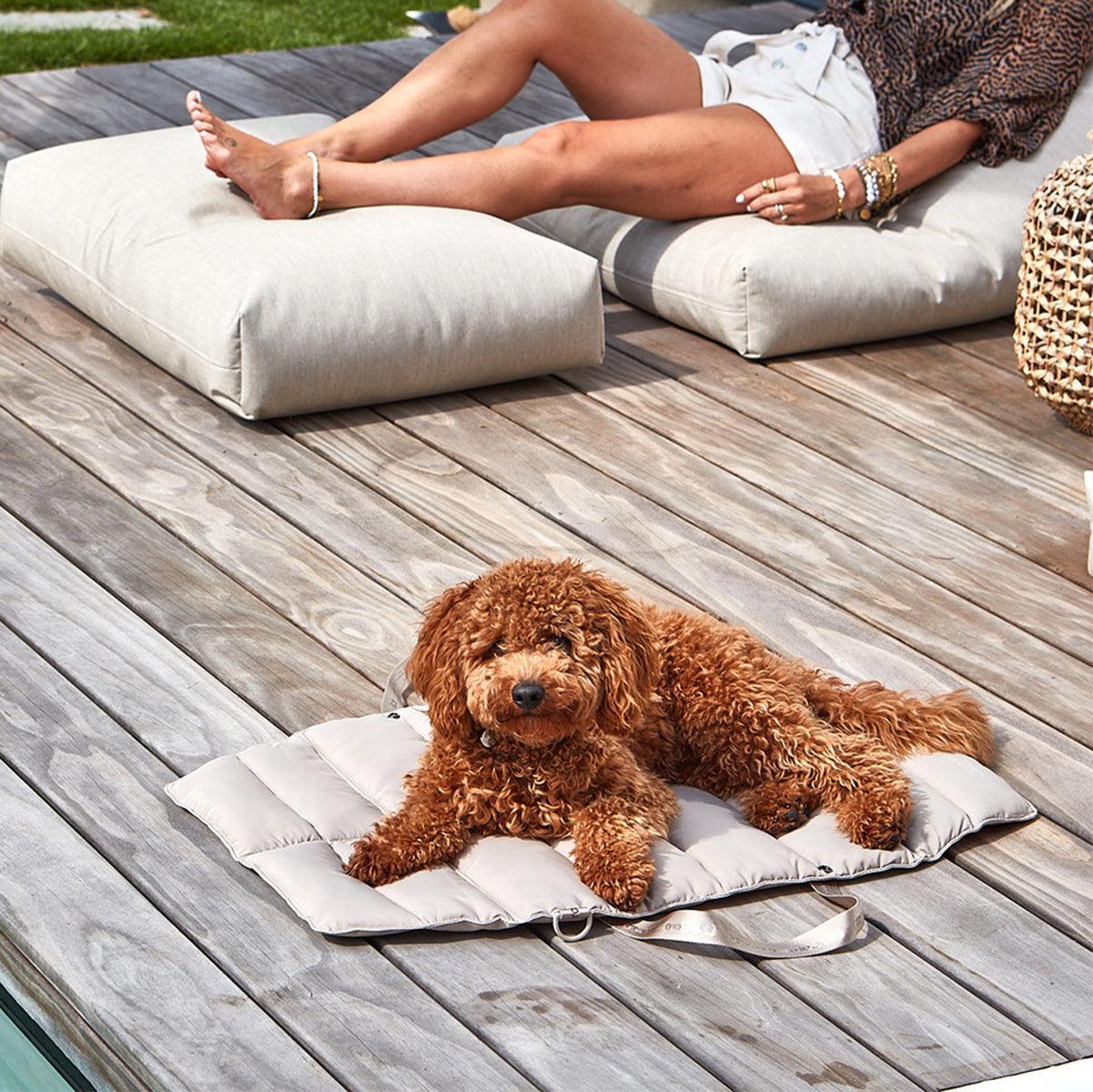 Lit pliable pour chien - STRADA - Kasibe