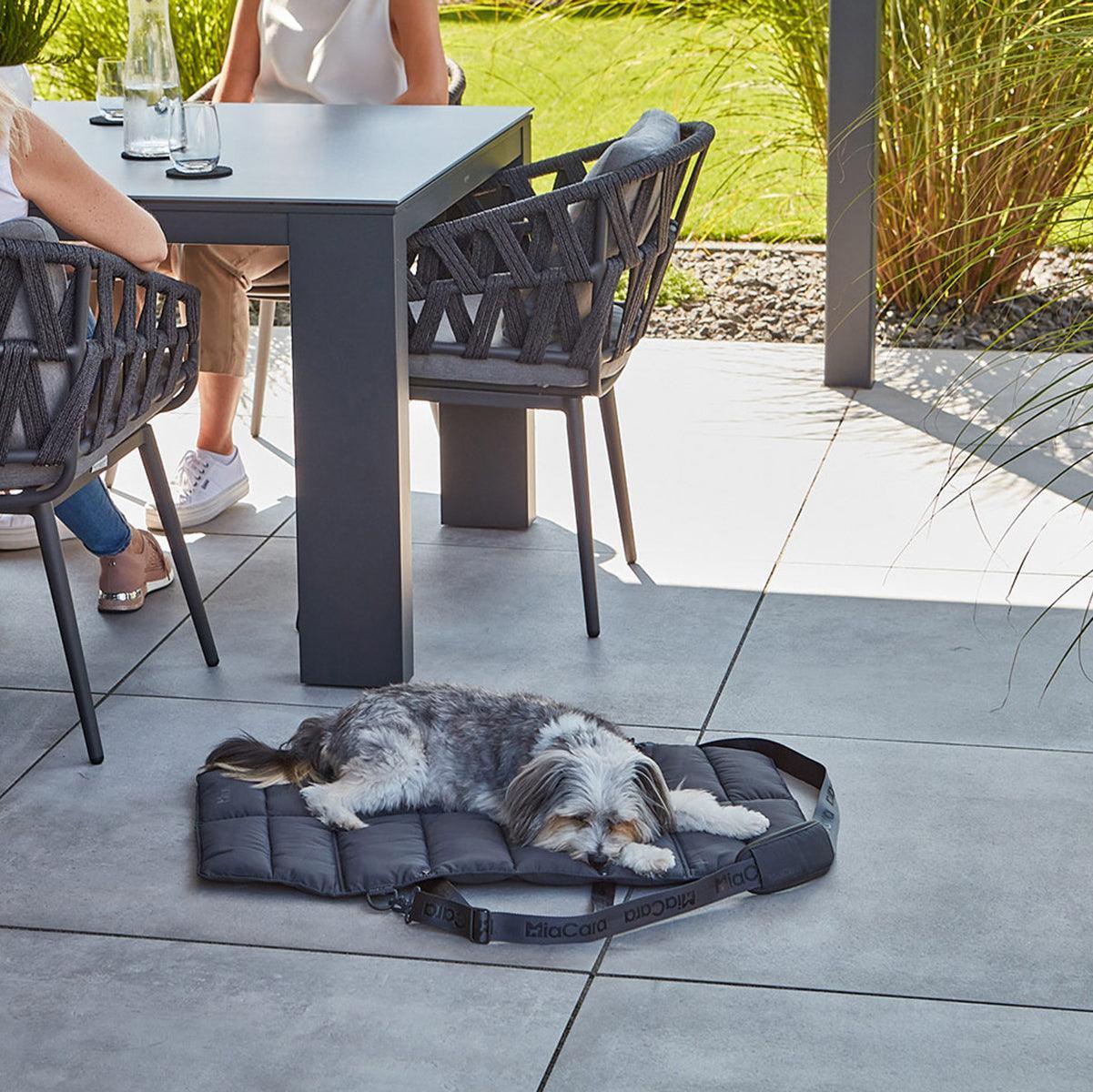 Lit pliable pour chien - STRADA - Kasibe